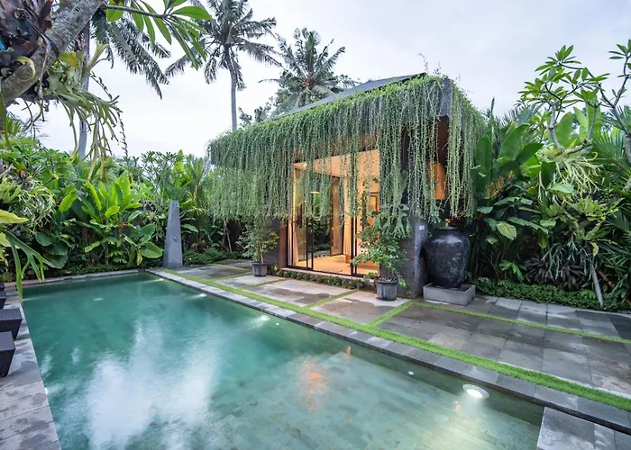Kelapa Luxury 4* أوبود