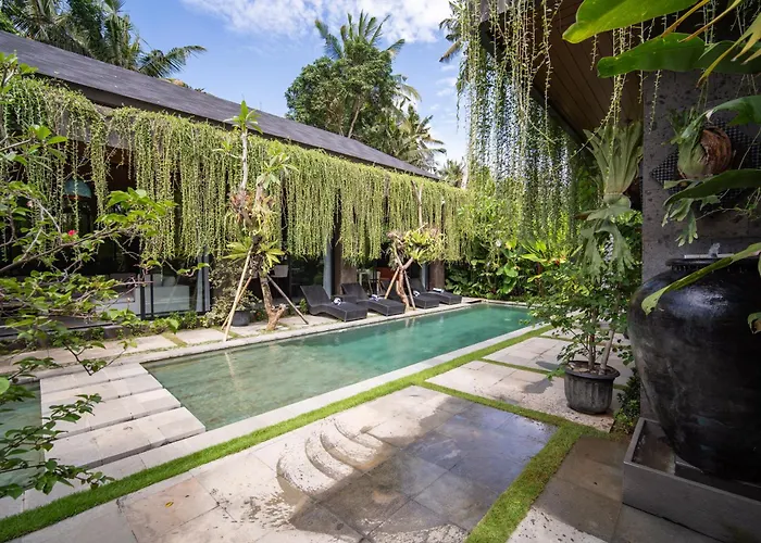 Kelapa Luxury