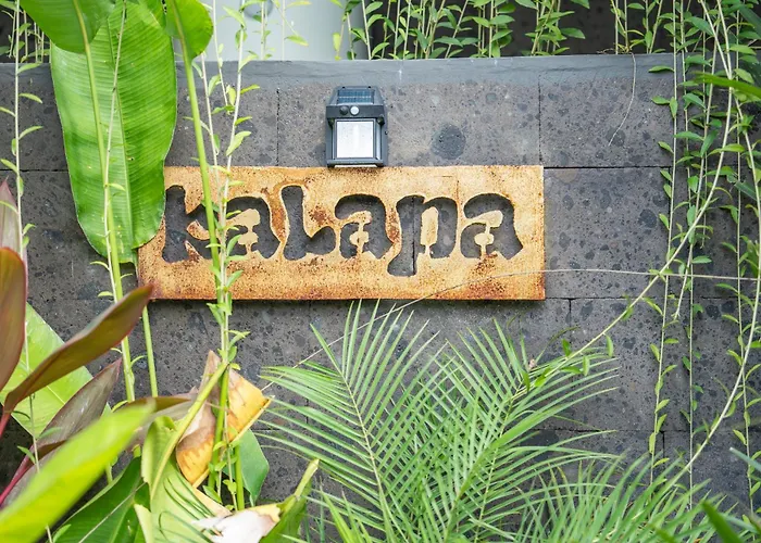 Kelapa Luxury فندق أوبود