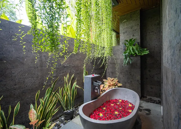 Kelapa Luxury 4* أوبود