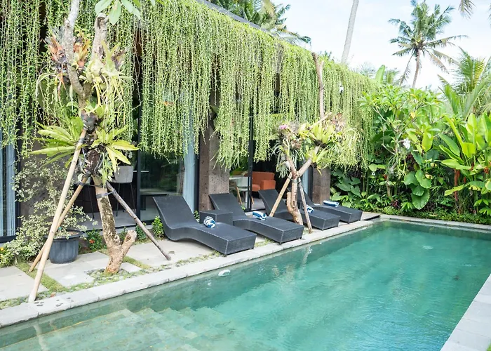 Kelapa Luxury 4* أوبود